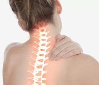 Neck bone and chondropathy