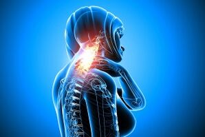 Osteocartilage of the cervical vertebra